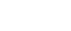 Den Braven logo