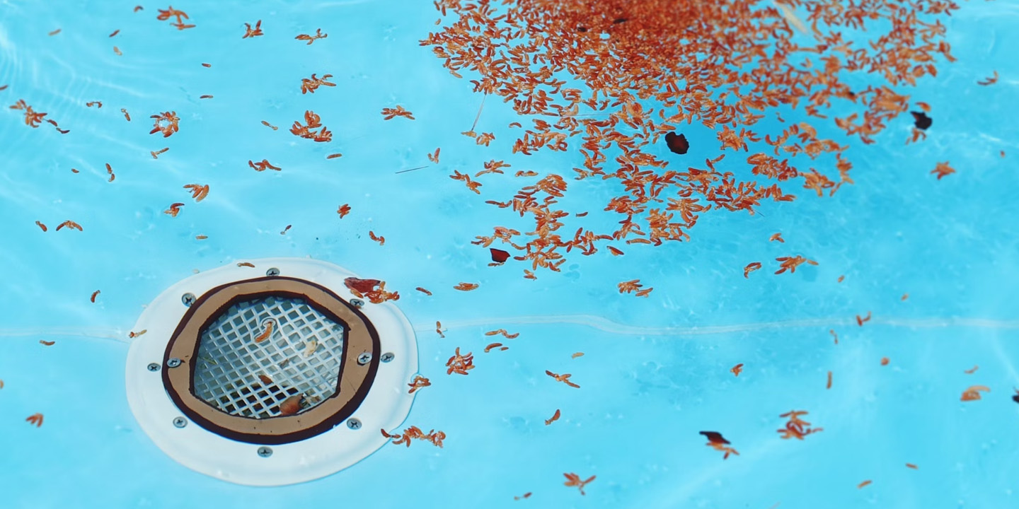 Bazénová chemie a údržba bazénu