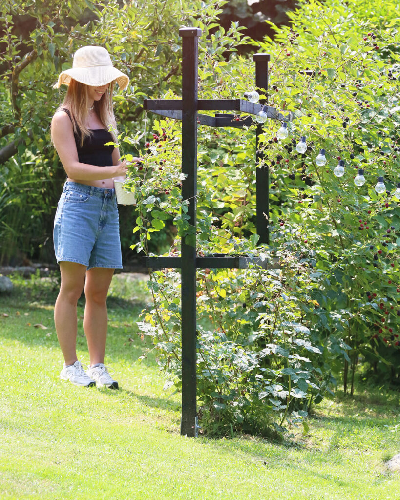 Stojan na maliny jak vyrobit stojan na maliny na zahradu