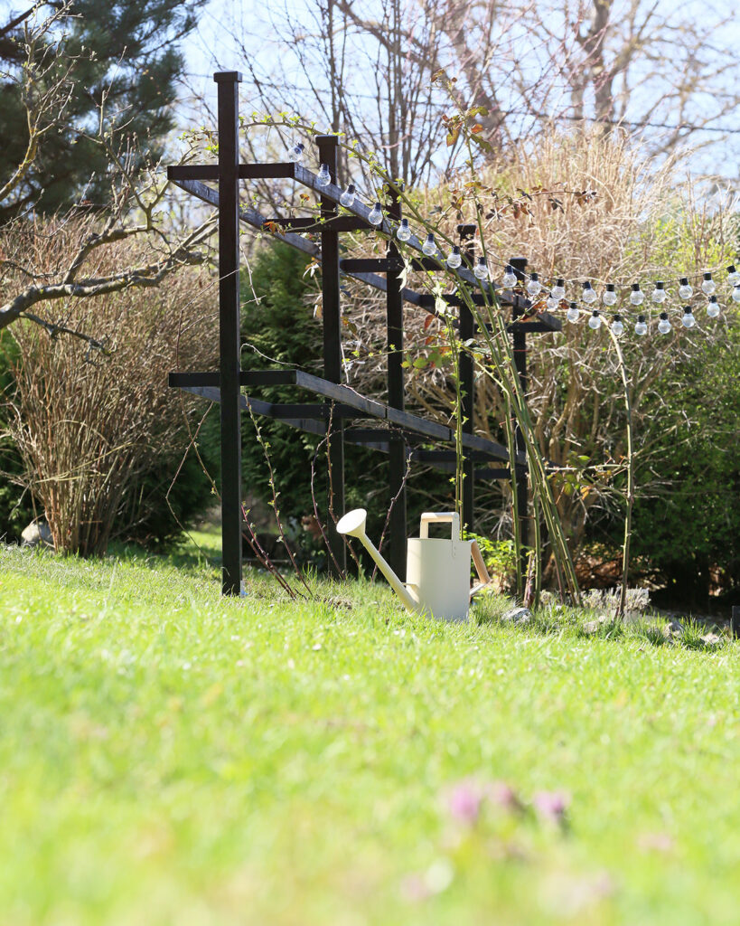 Stojan na maliny jak vyrobit stojan na maliny na zahradu